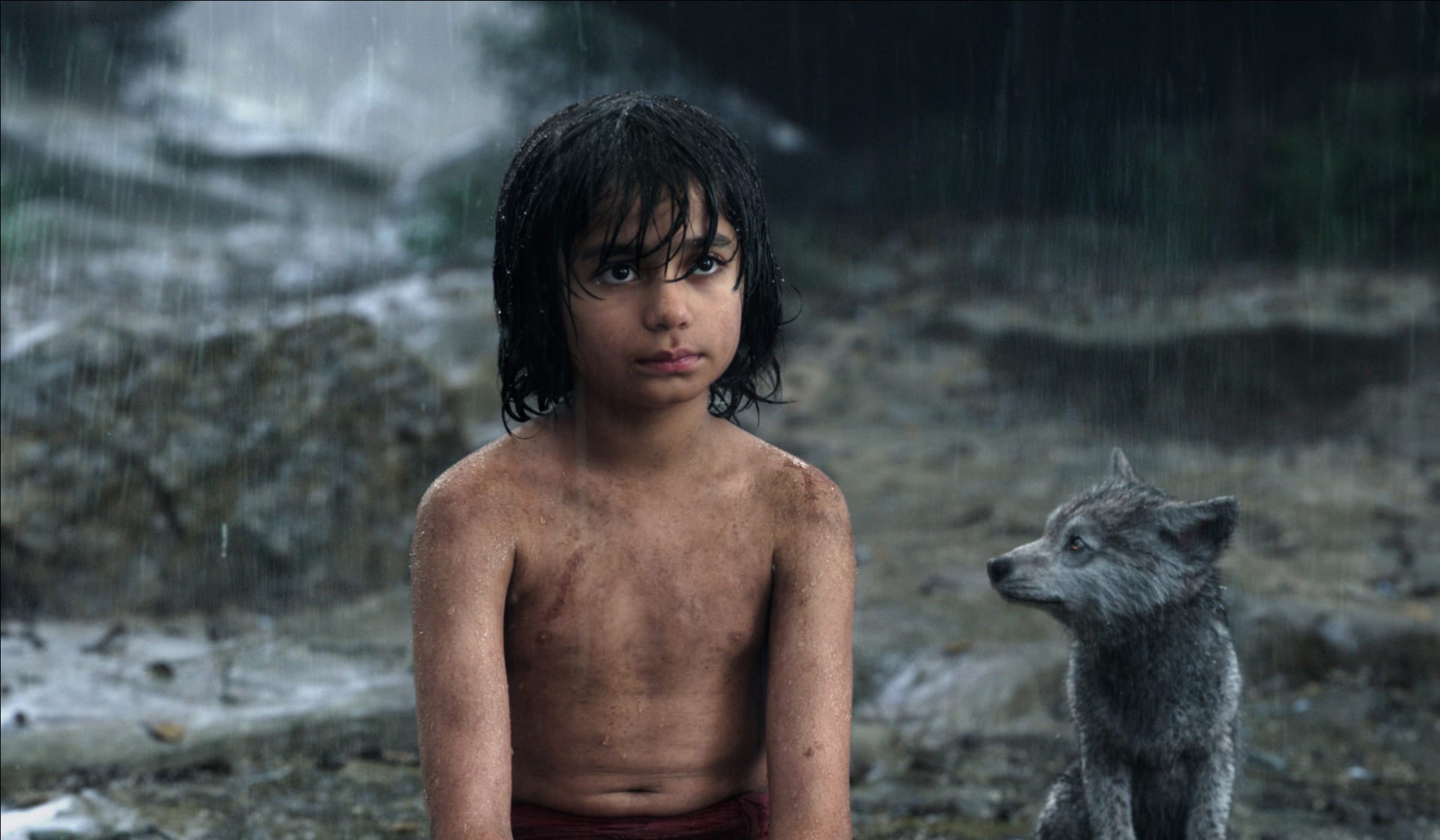Hrdinou filmu je chlapec Mauglí (Neel Sethi).