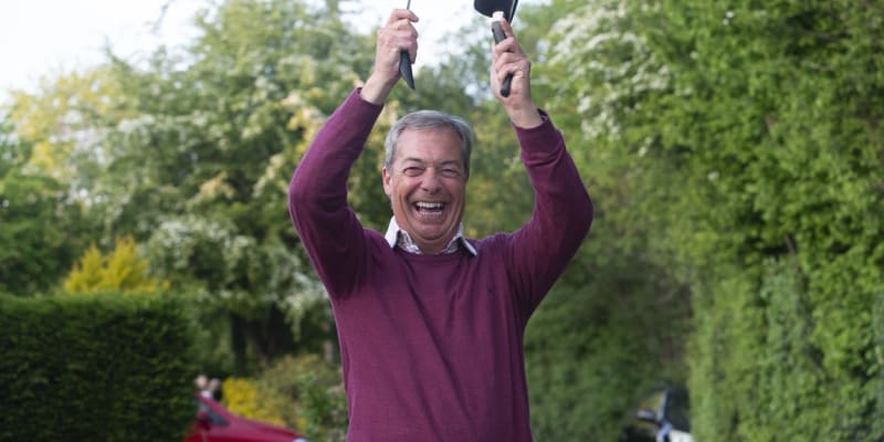 Nigel Farage v Downe