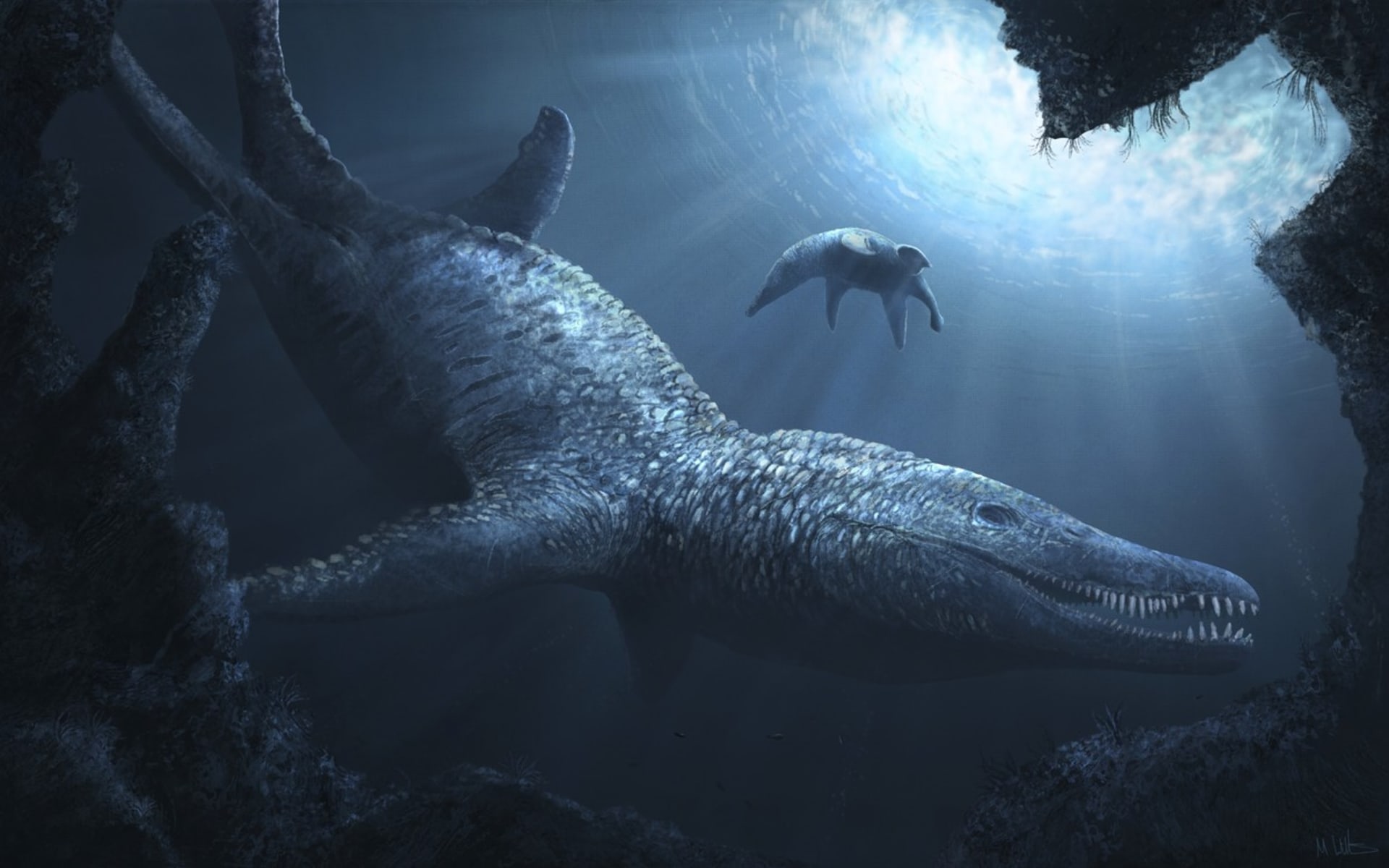Jiný nález překvapil vědce zkoumající vymřelé druhy, když našli lebku praotce žraloků – pliosaura. Jeho hlava měřila neuvěřitelné dva metry.