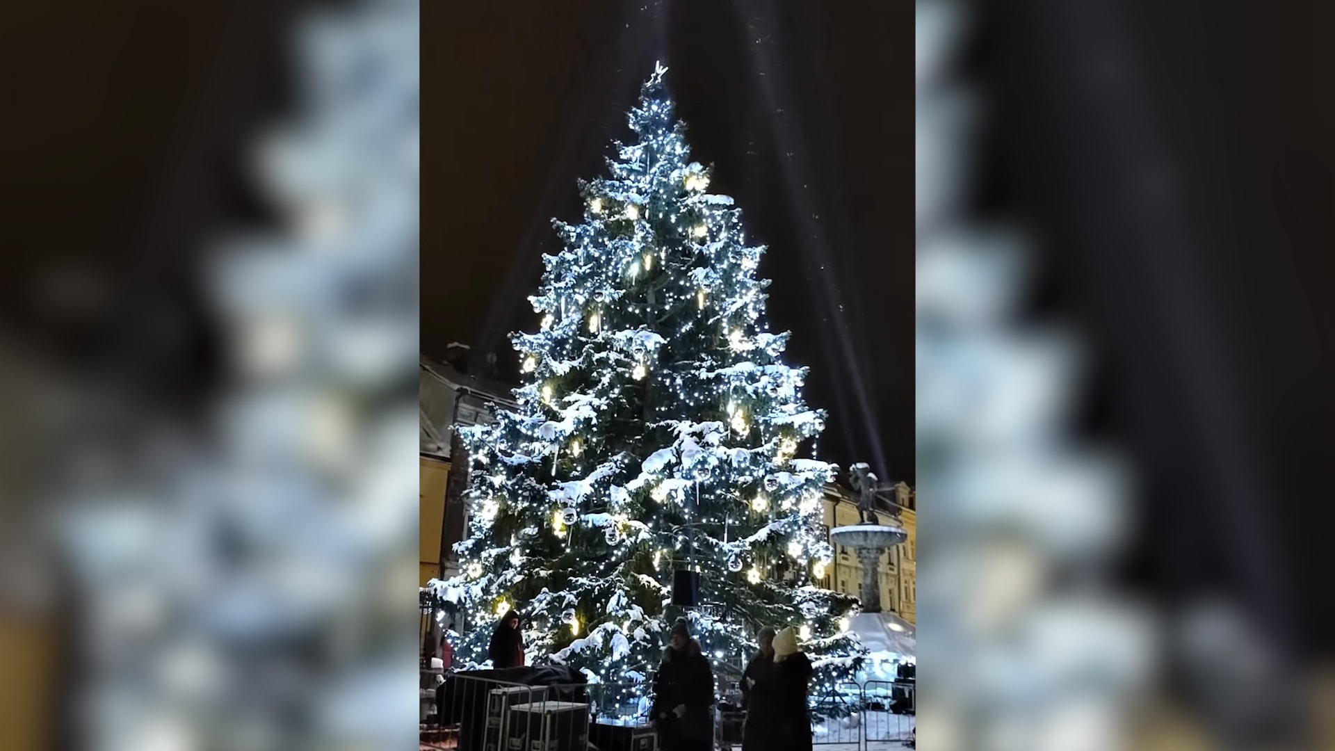 Vánoční strom v Sokolově v Karlovarském kraji
