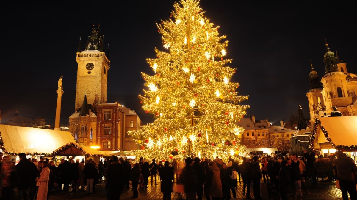 Vánoční strom na Staroměstském náměstí v Praze