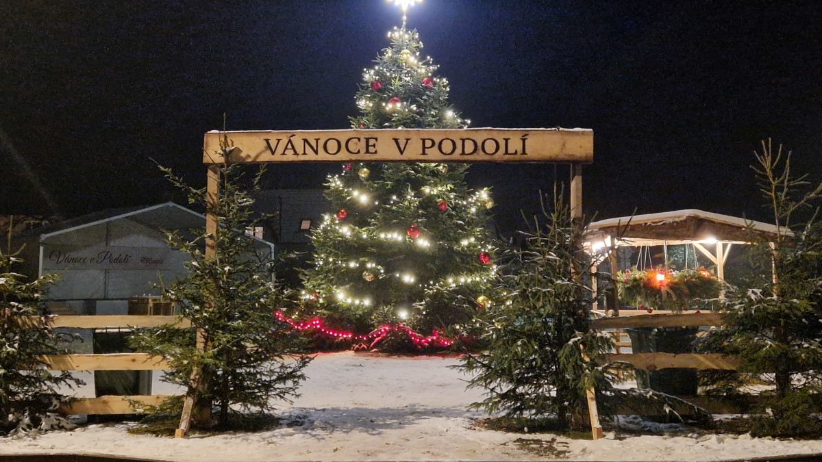 Vánoční strom v Podolí (okres Brno-venkov)