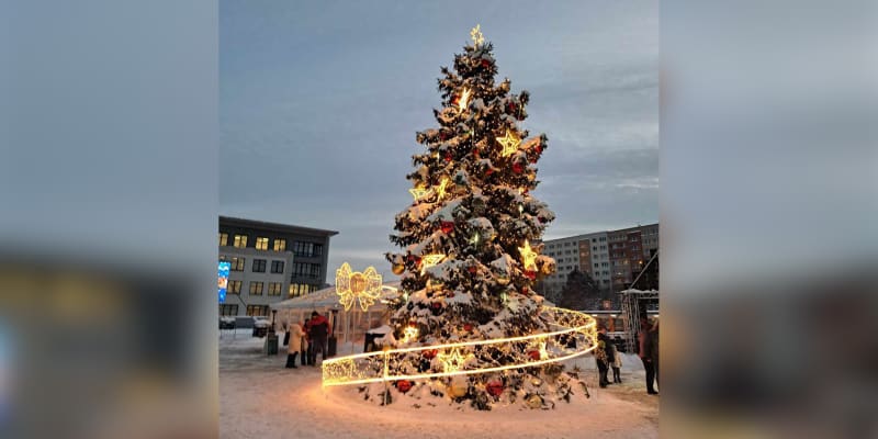 Vánoční strom v ostravské čtvrti Hrabůvka