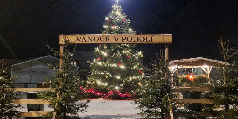 Vánoční strom v Podolí (okres Brno-venkov)