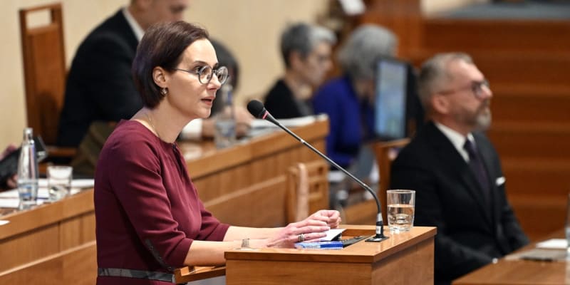 Lucie Dolanská Bányaiová v Senátu (14. 12. 2023).
