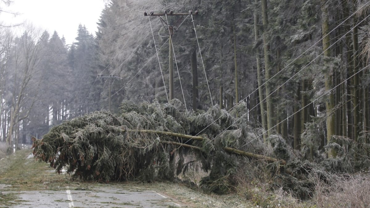 Vítr vyvrátil stromy na silnici mezi Stají a Zhoří na Vysočině a poškodil zde elektrické vedení. (28. 12. 2020)