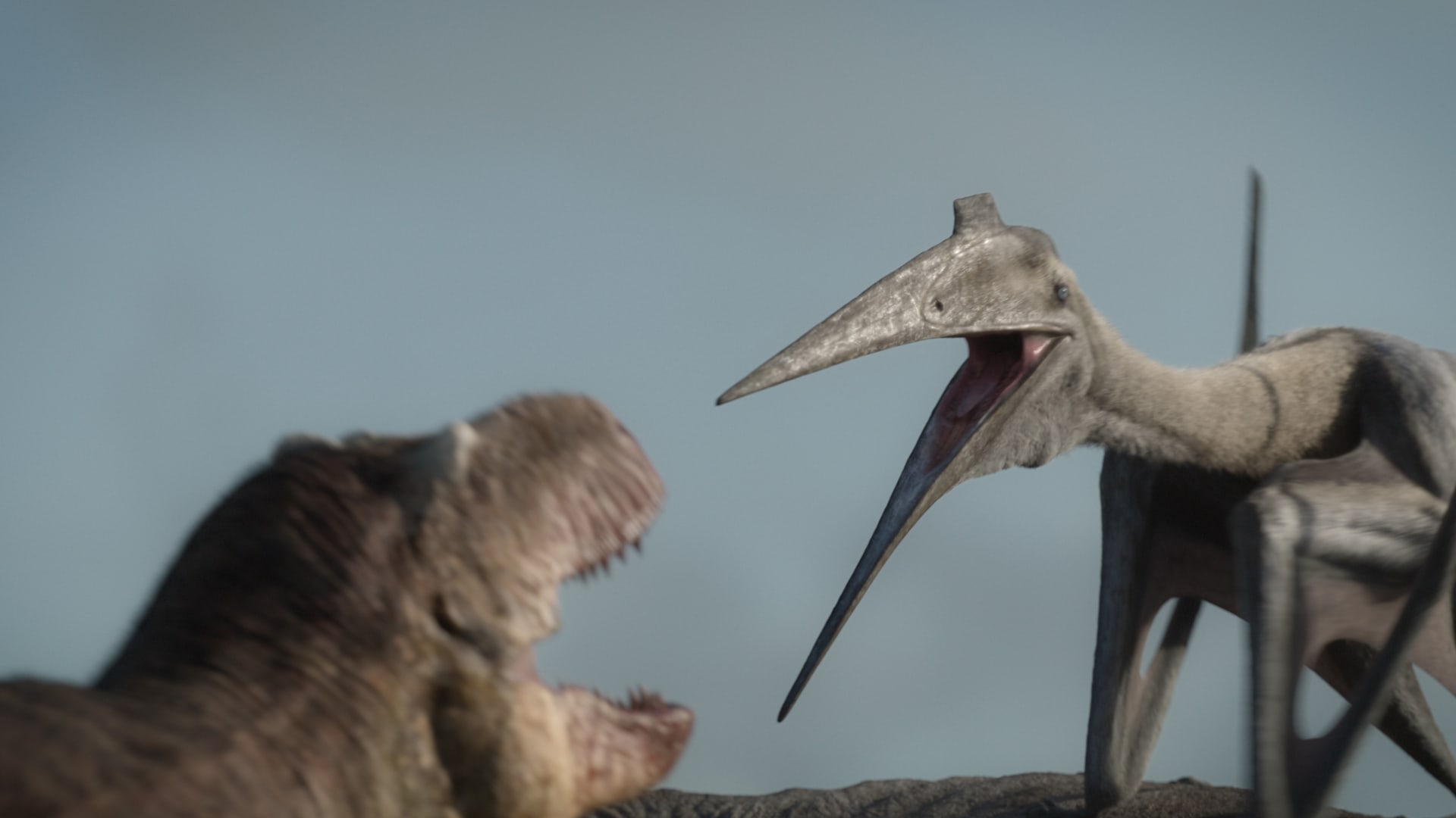 Ptakoještěr Quetzalcoatlus vs. Tyranosaurus Rex