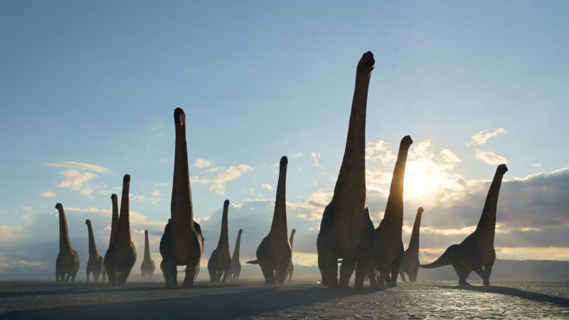 Dreadnoughtus, obří sauropodní dinosaurus