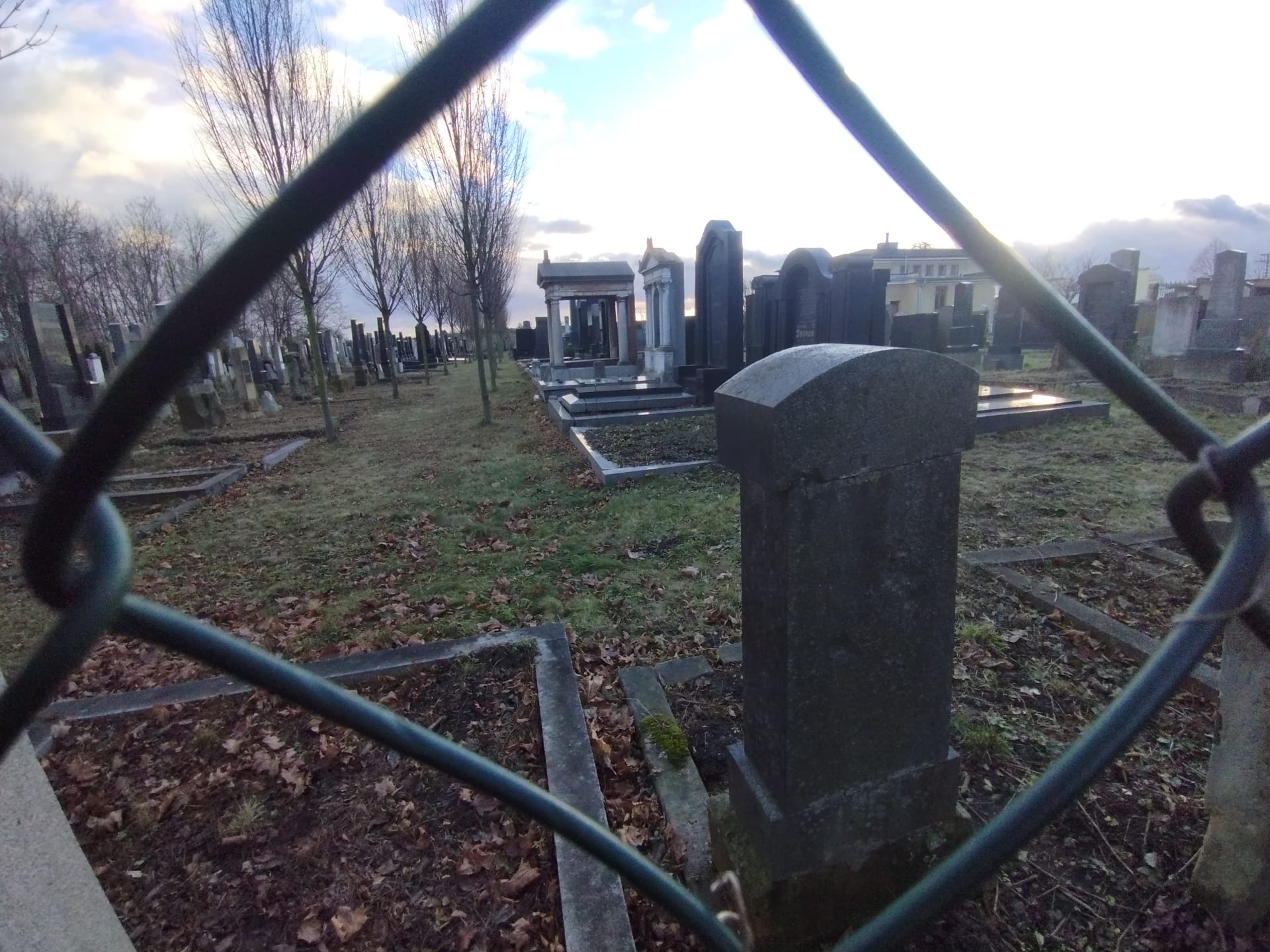 Hned v blízkosti Wolkerova hrobu začíná židovský hřbitov. Spousta prostějosvkých židovských spolužáků Jiřího Wolkera zahynula v koncentračních táborech.