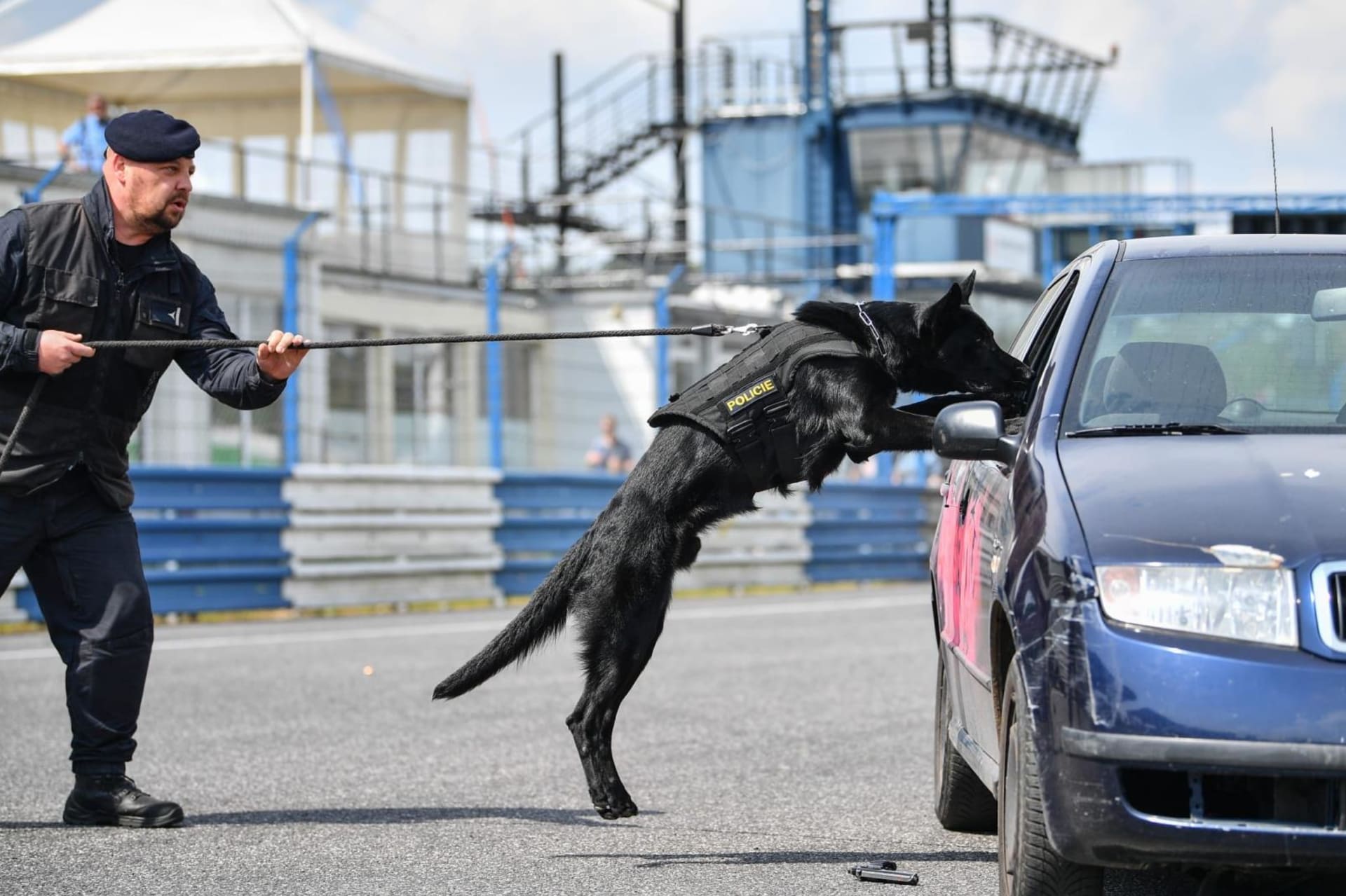 Policejní pes Bruno během svého tréninku se svým psovodem