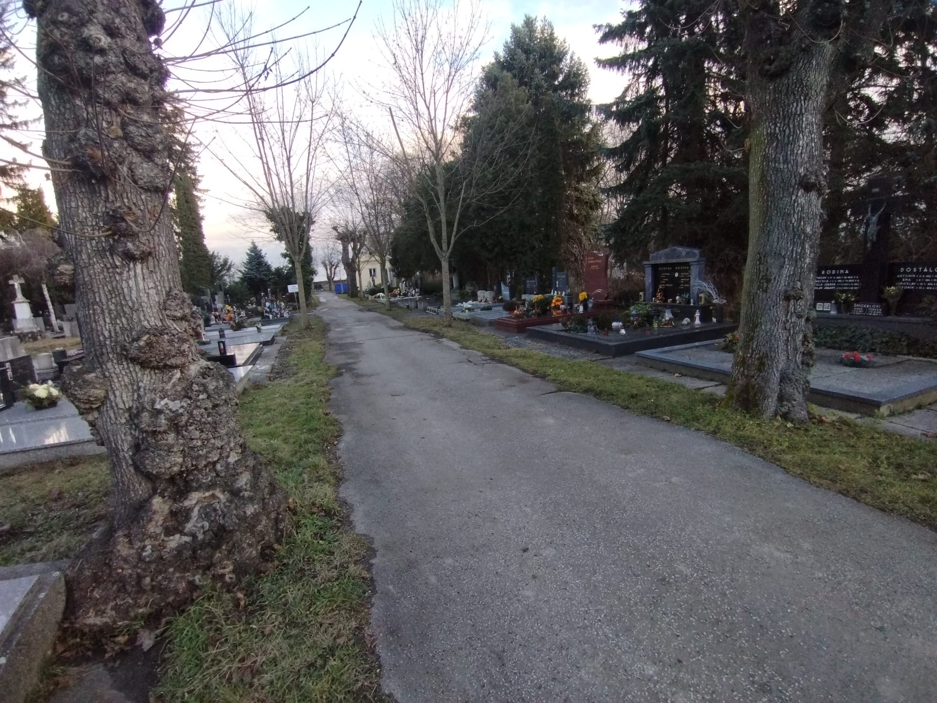 Cesta ke hrobu Jiřího Wolkra, tudy 5. ledna 1924 kráčel pohřební průvod i slavní básníci jako Seifert, Biebl nebo Hora.