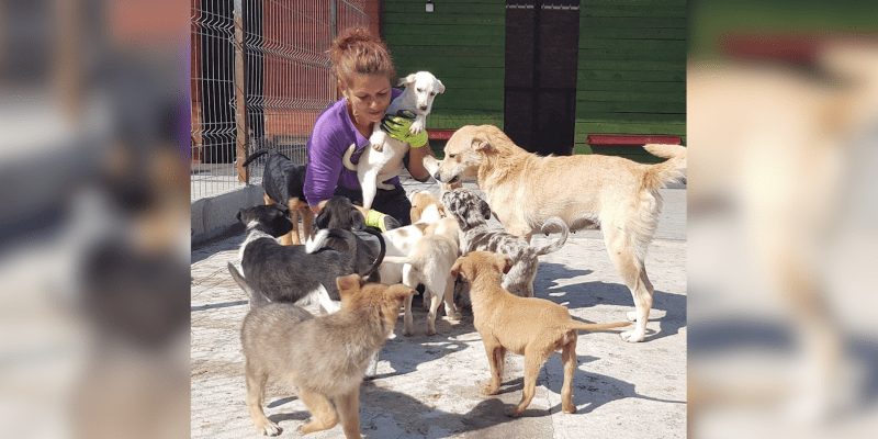 Florin v Rumunsku se svou manželkou provozuje azyl pro opuštěné psy. Aktuálně u nich našlo útočiště 380 „němých tváří“.