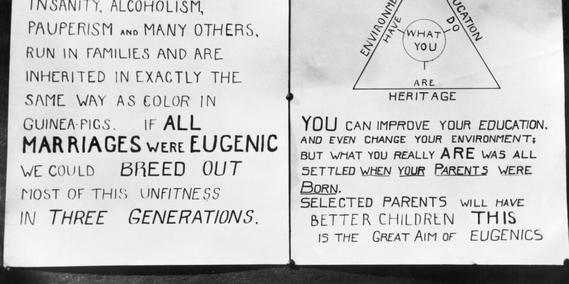 Plakát o eugenice z jarmarku v americkém Kansasu, 20. léta 20. století