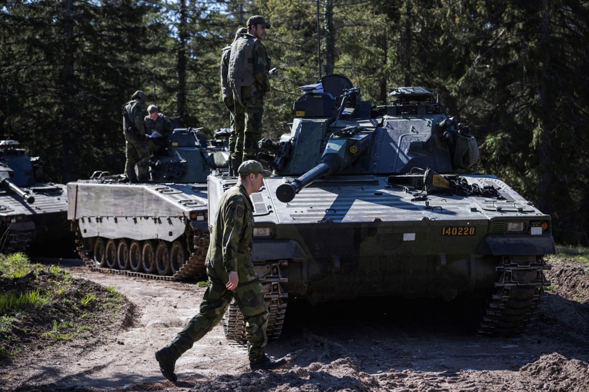 Vojáci švédské armády