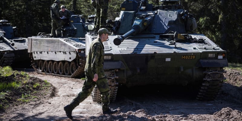 Vojáci švédské armády