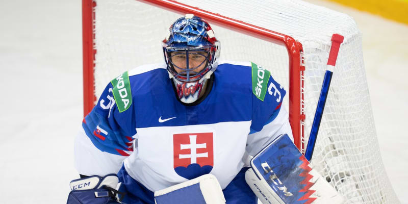 Slovenský hokejový brankář Július Hudáček