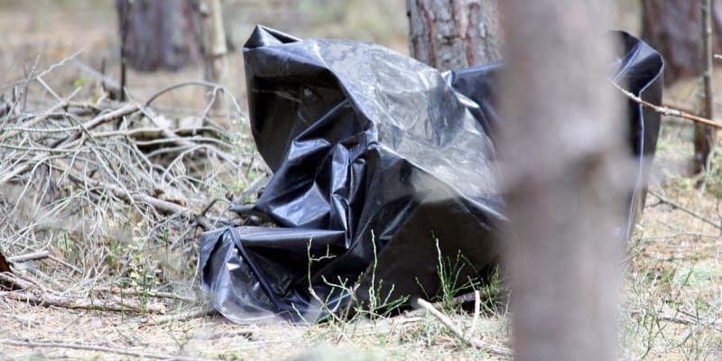Místo činu v lese u Malíkovic, kde Viktor Kalivoda zavraždil 44letého muže