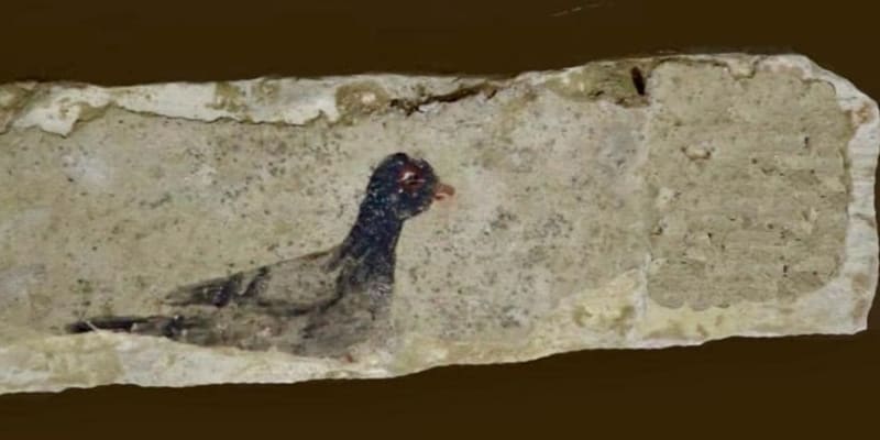 Umělecké zobrazení ptáka, které se také našlo během vykopávek ve městě Oxyrhynchus 