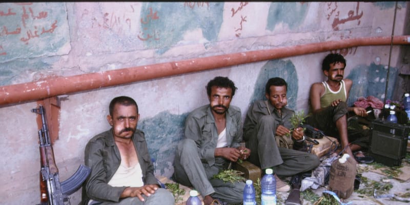 V Jemenu žvýká katu většina mužské populace.