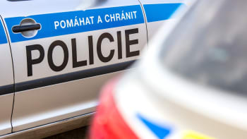 Záhadné úmrtí ženy za bílého dne v Plzni. Policisté mají závažné podezření, žádají o pomoc