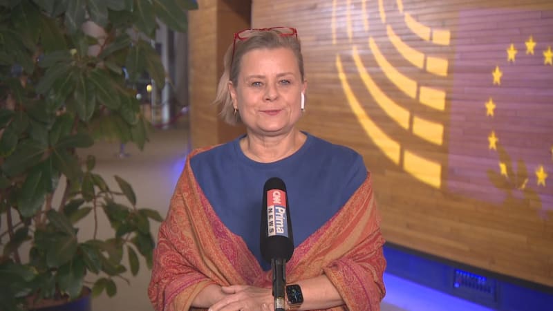 Jako jedna z prvních se k videu ministra vnitra Víta Rakušana (STAN) vyjádřila europoslankyně Veronika Vrecionová (ODS). 