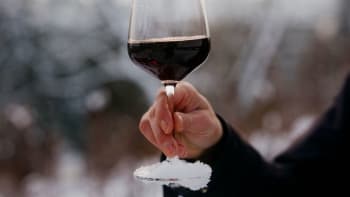 Nealkoholické víno existuje již více než 100 let a obsahuje méně kalorií. Víme, které stojí za ochutnání