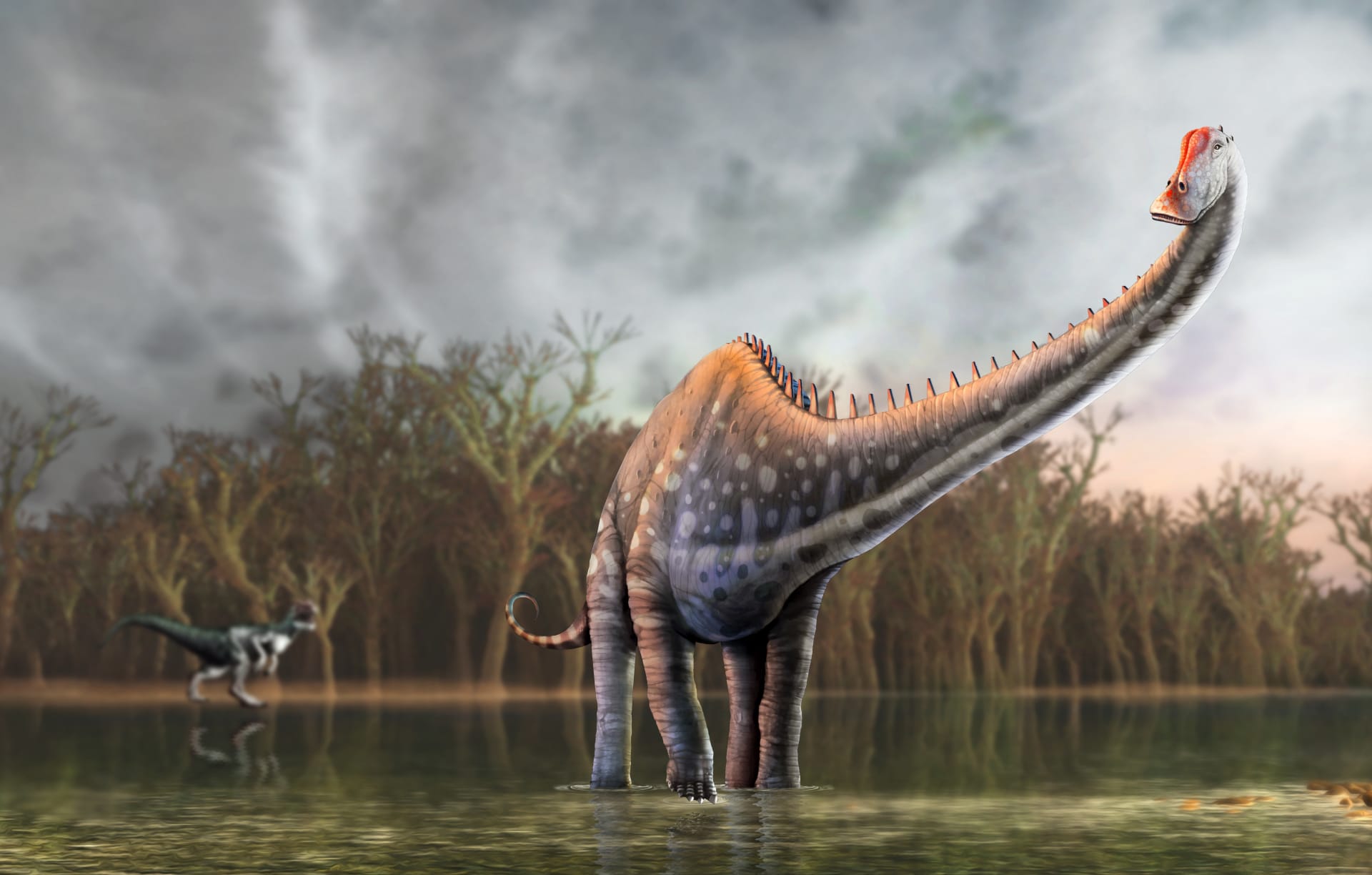 Diplodocus může být kvůli své velikosti opravdu velkým oříškem