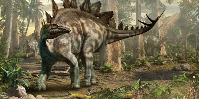 Stegosaury můžete ulovit klidně dva