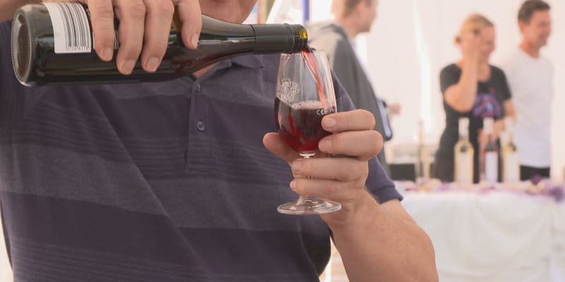 Daň na tichá vína je podle ministra financí Zbyňka Stanjury (ODS) stále ve hře.