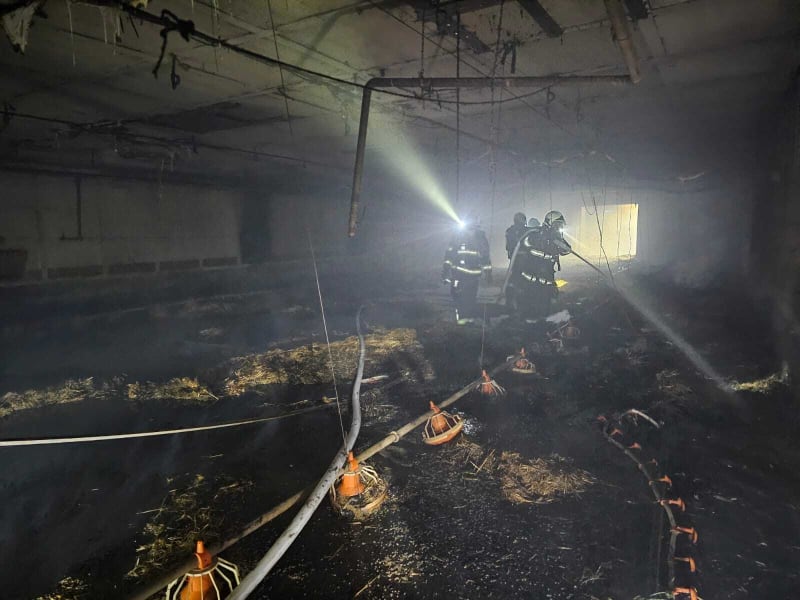 Požár drůbežárny v Lánech