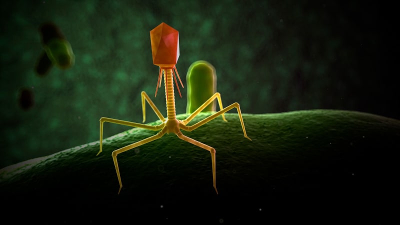 Ilustrace bakteriofágu