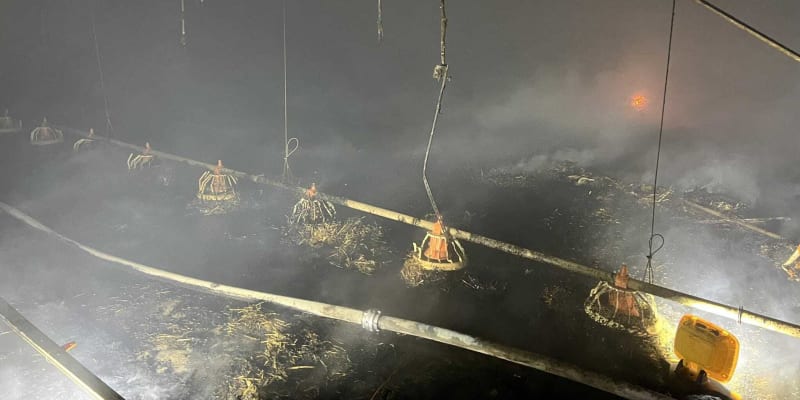 Požár drůbežárny v Lánech