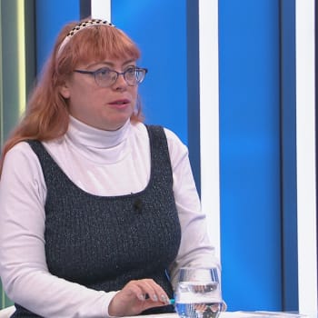 Ekonomka Ilona Švihlíková