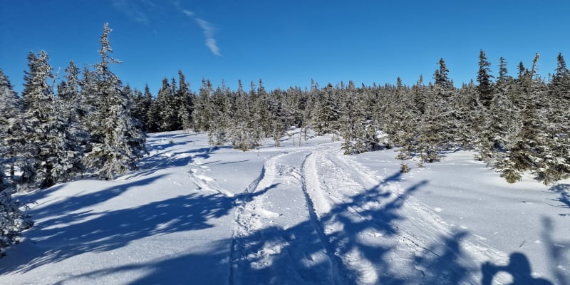 Tři krosové motocykly upravené na sníh, se tuto sobotu nedovoleně pohybovaly po hřebeni a v lesních porostech, až doslova větve lítaly.