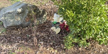 U rybníka v Praze byl nalezen mrtvý muž. Na místě zasahovaly všechny záchranné složky
