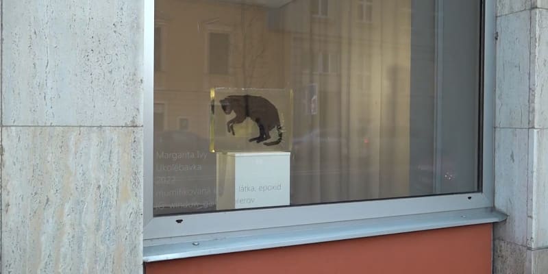 Mrtvá kočka ve výloze přerovské galerie