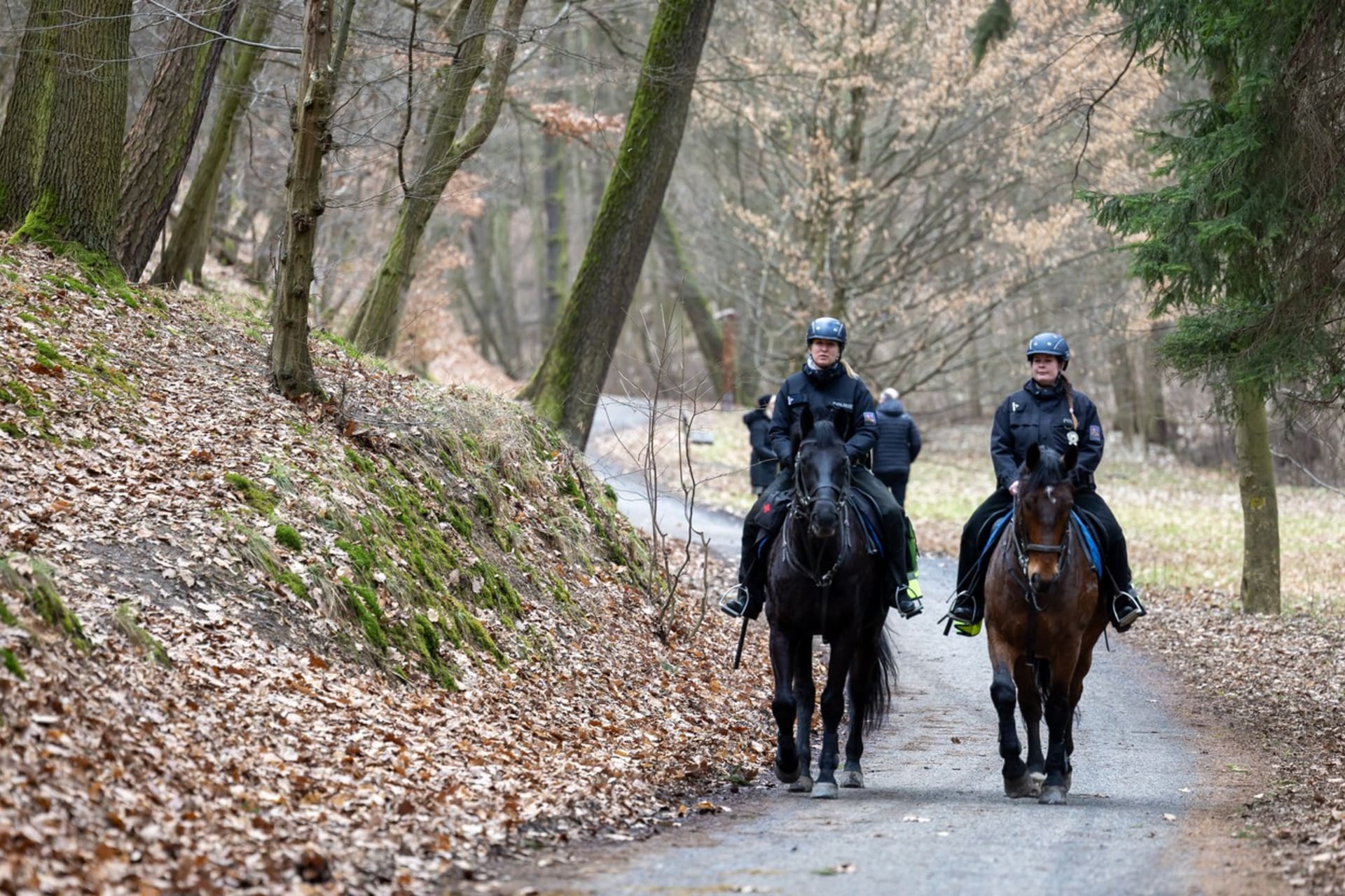 Policisté pátrali po útočníkovi v Kunratickém lese (26. 1. 2024).