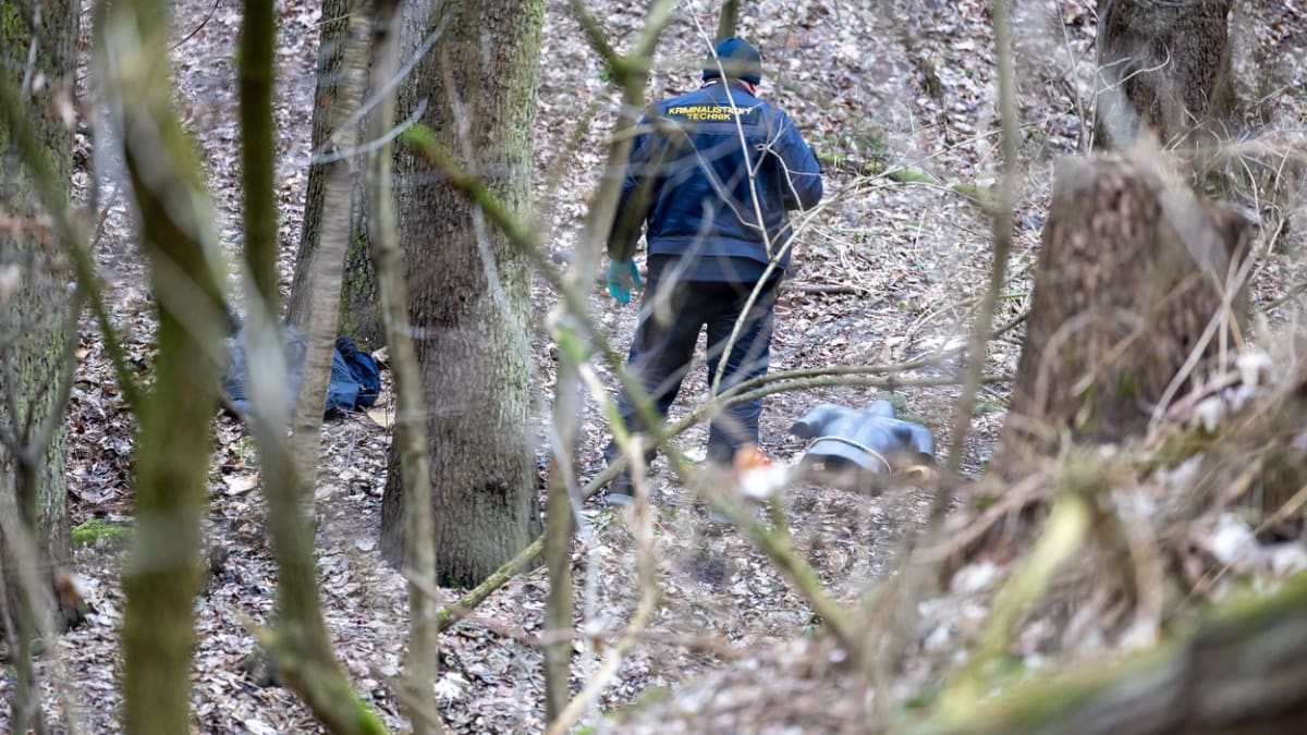 Policisté pátrali po útočníkovi v Kunratickém lese (26. 1. 2024).