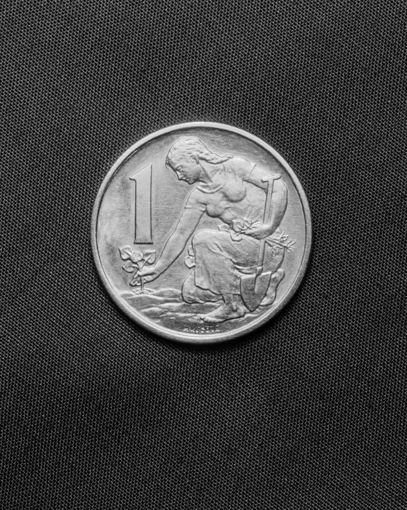 Jednokorunová mince podle návrhu akademické sochařky Marie Uchytilové