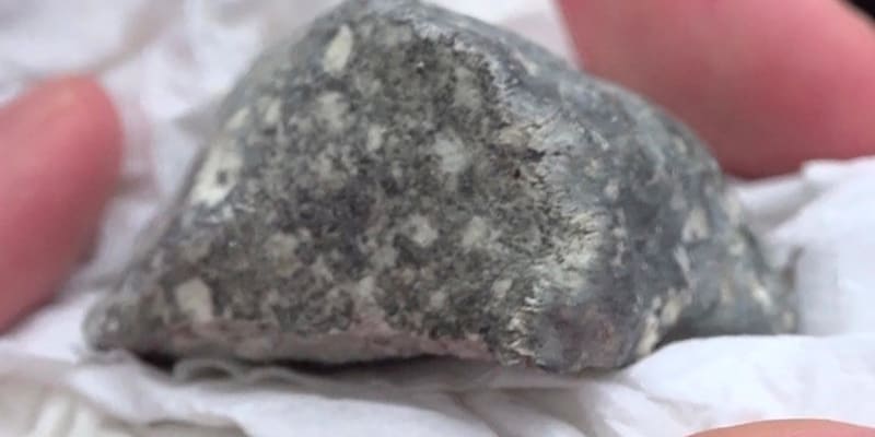 Jeden z meteoritů nalezených ve východním Německu po pádu asteroidu 2024 BXI 