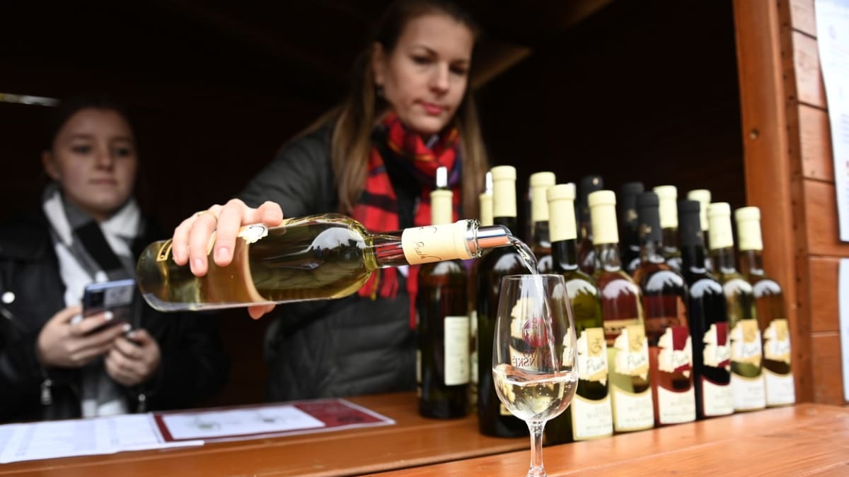 Křest mladých svatomartinských vín