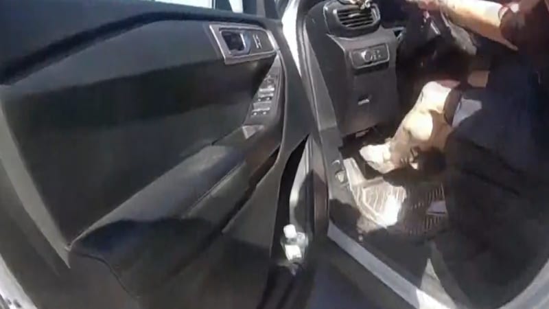 Žena na Floridě využila chvilku nepozornosti a ukradla policejní auto. Po zběsilé honičce nabourala, zemřela ona i dva nevinní lidé.