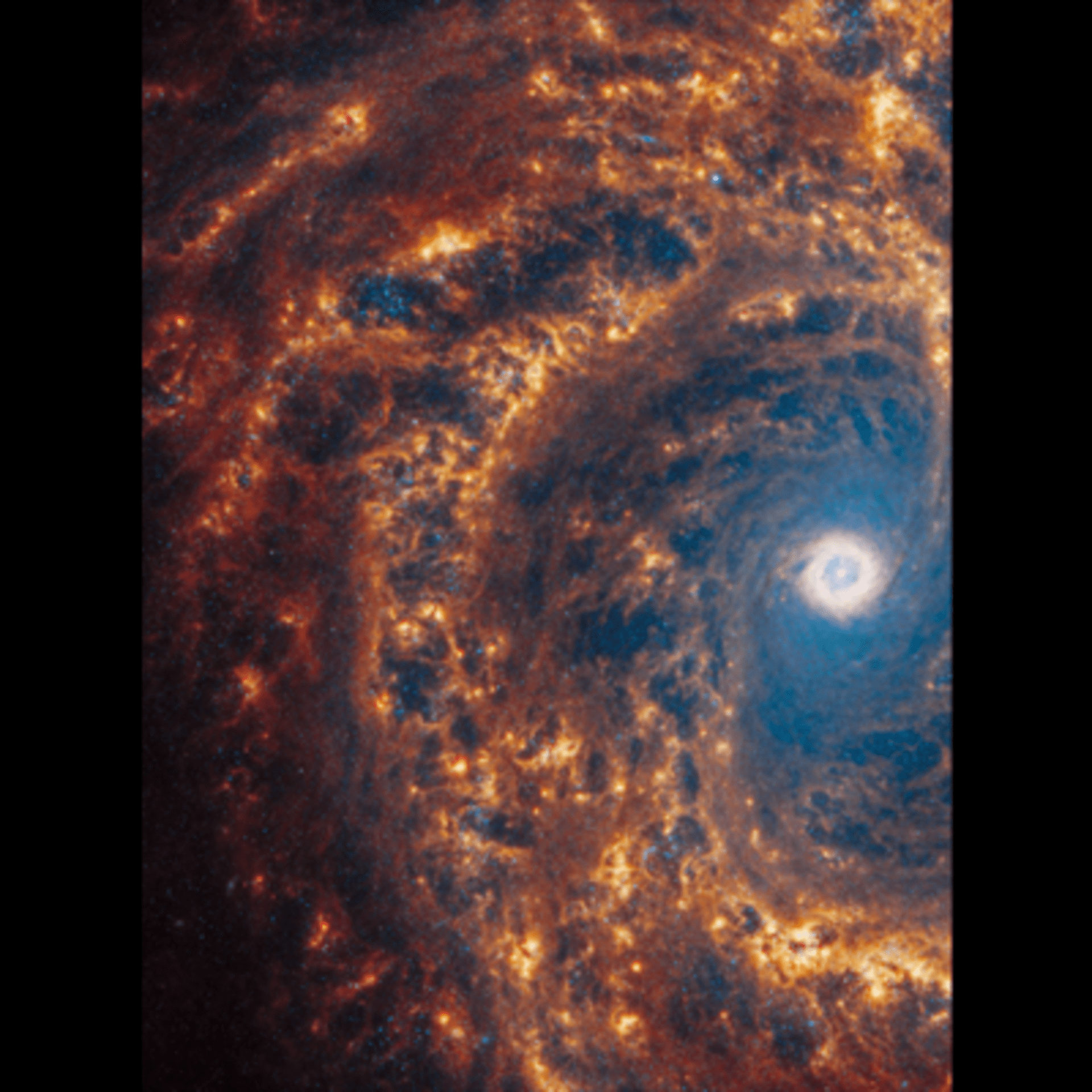 Galaxie NGC 4303