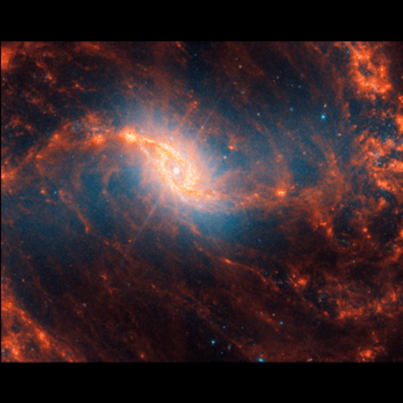 Galaxie NC 1365