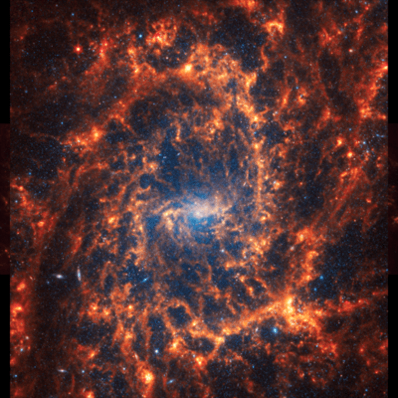 Galaxie NGC 2835