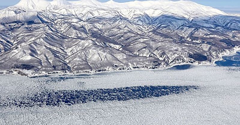 Hejnu kosatek, které uvěznil led u břehů Japonska, se podařilo uniknout