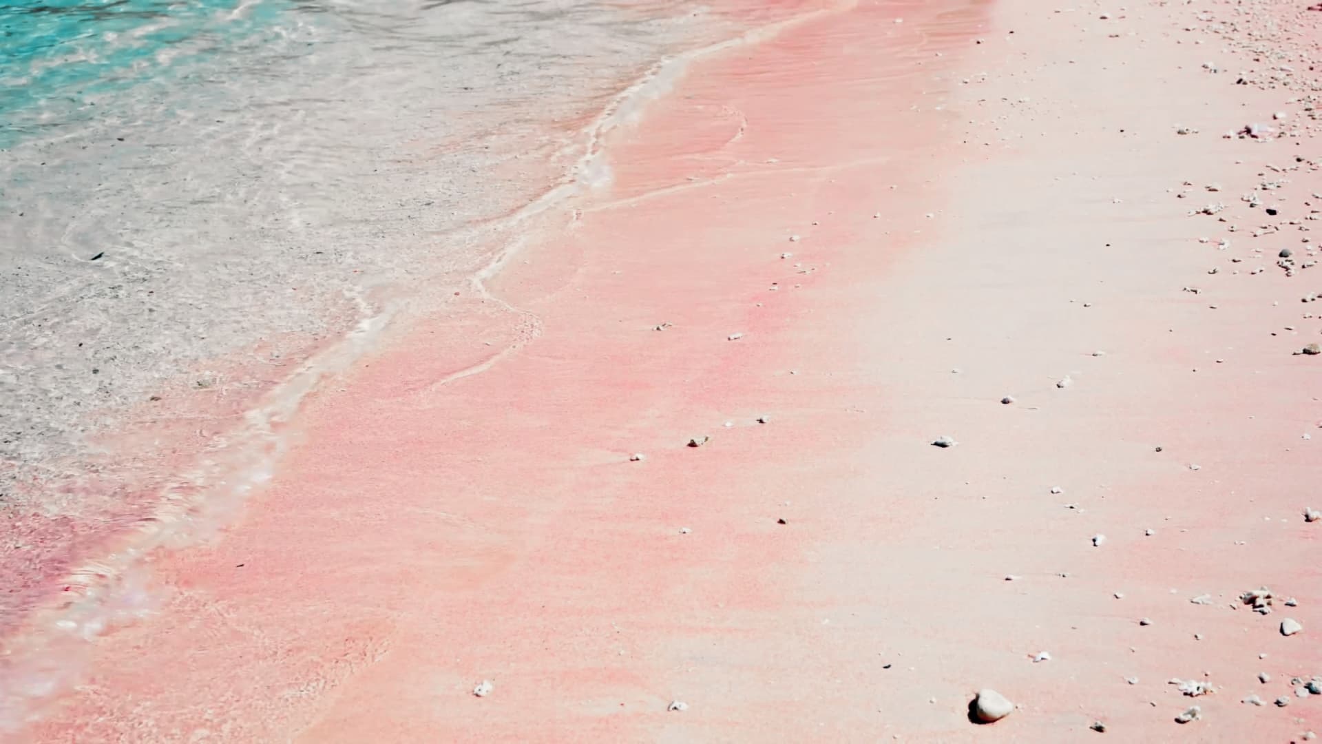 Růžová pláž, ostrov Padar, národní park Komodo, Indonésie
