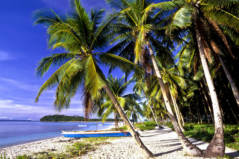 Rájem pro surfaře je pláž Pacifico na Filipínách.