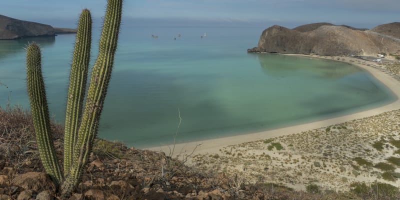 Pláž Balandra, La Paz BCS, Mexiko