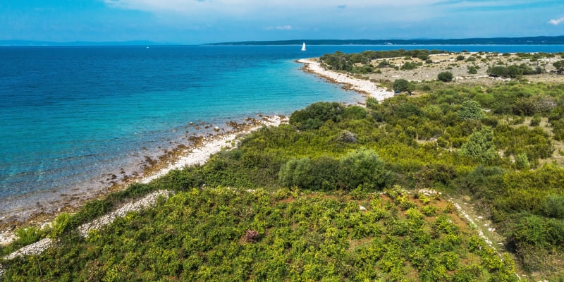 Nejblíže k Česku je z nejkrásnějších pláží světa Punta Rata v Chorvatsku. Cesta auta zabere zhruba půl dne.